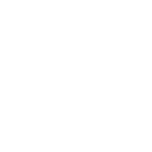 Winter Soldiers